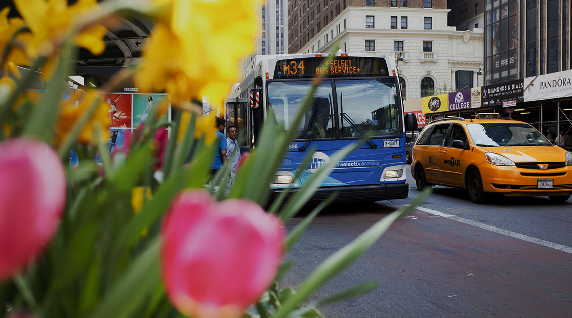 Coach Bus Driver Found Guilty of Violating the New York City Right of Way Law –  MTA Bus Driver and Sanitation Worker Face Similar Charges – an Analysis of the Right of Way Law – What You Need to Know Image