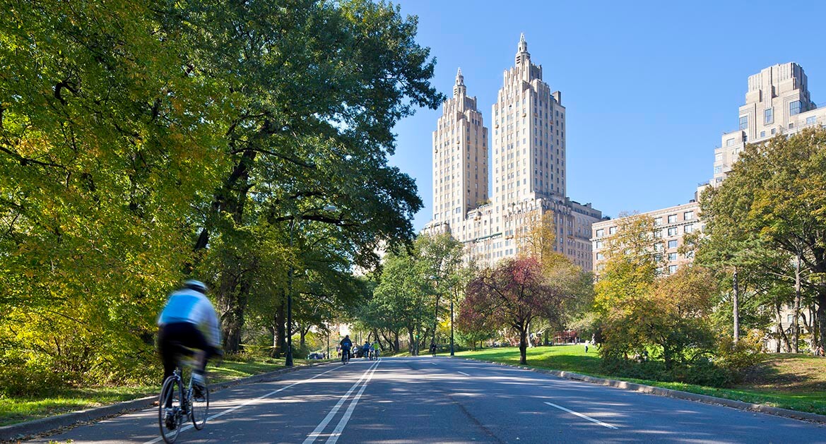 Cyclist Critically Injured in Central Park, Raising More Questions About Bicycle Safety Image